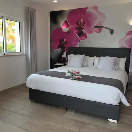 게스트하우스 L'estaque